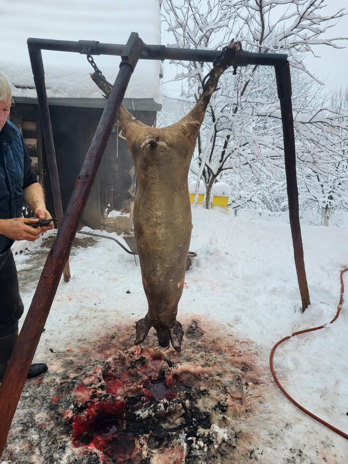 Audi A3 slika 14
